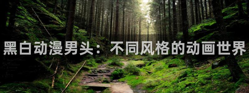 伤心小橘子动漫：黑白动漫男头：不同风格的动画世界